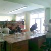 foto31